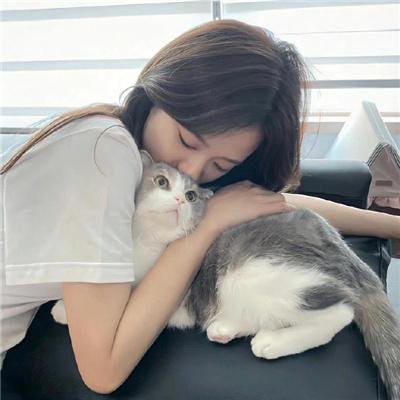 菜鸟囧探